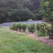 10 kw ground mounted solar electric array